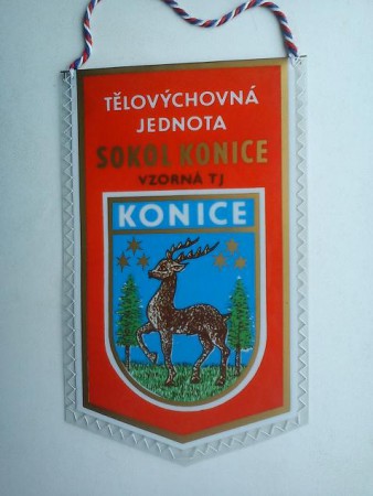 KONICE TJ SOKOL -19-